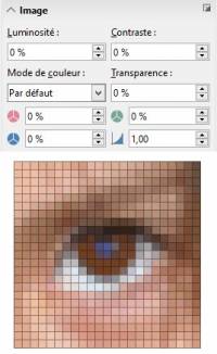Cliquer pour agrandir