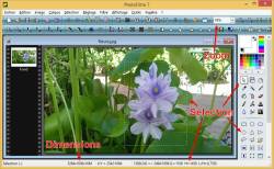 Cliquer pour agrandir